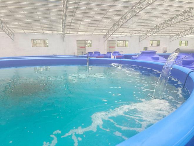 智慧養(yǎng)魚闖出致富新路 水質(zhì)改良劑研發(fā)的革新與機遇